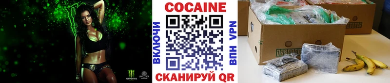 Cocaine Fish Scale  Купить закладки  Бежецк 