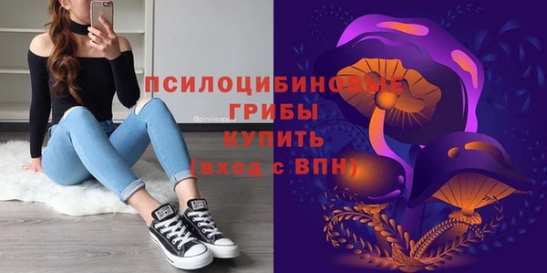2c-b Беломорск